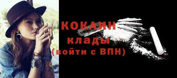 индика Верхнеуральск